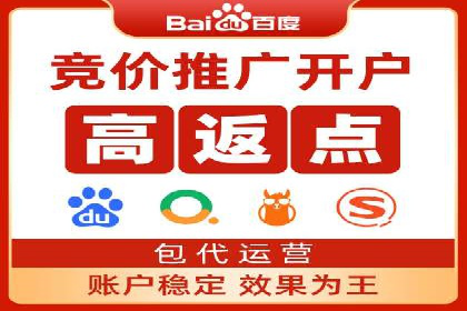 百度搜索推广实战技巧：成功案例启示录